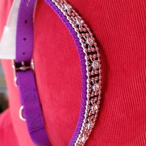 Brand New purple dog collar with rhinestones 16 inches